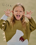 Dino Pull-over